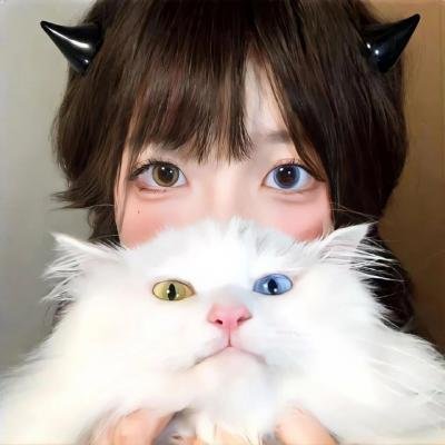 秩序信条